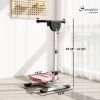 Foldable Ab Twister Board for Waist Trimming with LCD Display, Ab Workout Equipment for Women and Men, Pink